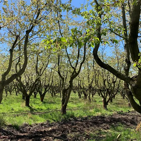 公寓 City-wohnung 12a *