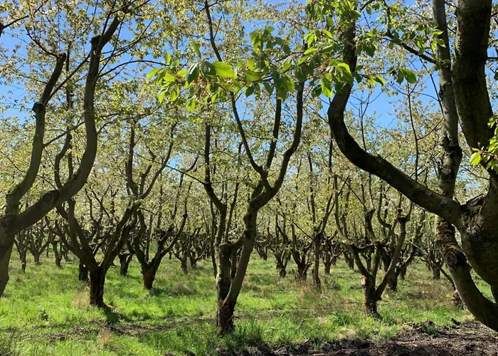 Apartamento City-wohnung 12a *